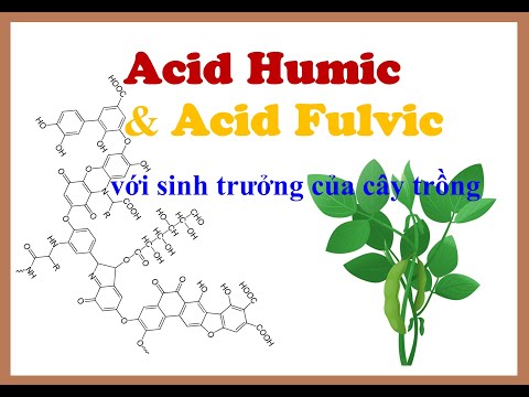 Chuyên đề 22: Đặc điểm và vai trò của Axit Humic & Axit Fulvic với Cây trồng Nông nghiệp