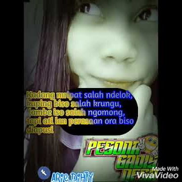 Story wa pesona gadis desa