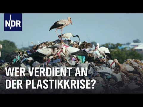 Ersticken wir im Plastikmüll? Plastikflut trotz Mülltrennung | Die Story | Kontrovers | BR24
