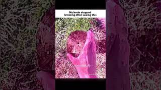 My brain is not braining#cinderxedits #editzzz #goviral #aesthetic #trending #viral #ytshorts #brain