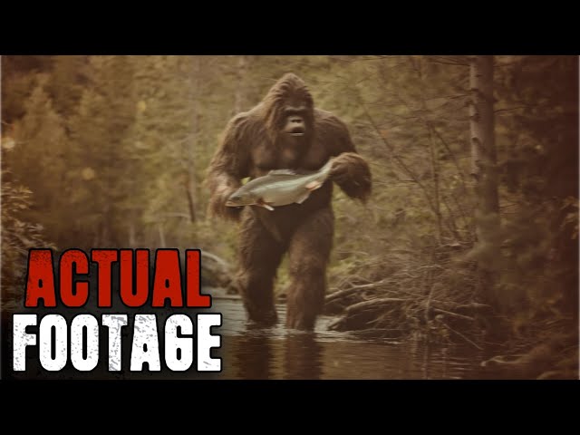 Top 13 CREEPIEST Bigfoot Videos EVER 2024 - YouTube