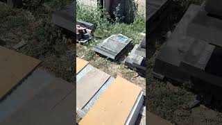 Монтаж гранитных памятников по Одессе и области от Мраморное Дело.