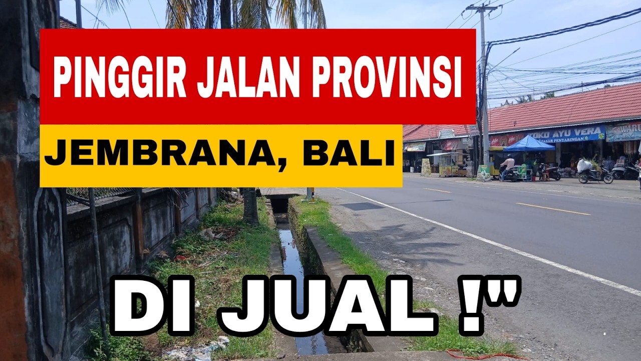 DIJUAL TANAH PINGGIR JALAN RAYA PROVINSI DI JEMBRANA, BALI !