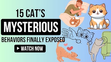 Why Does My Cat Do That? 15 Mysterious Cat Behaviors Decoded!
