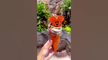 New At Disney World Full Vlog At LBVTV 
