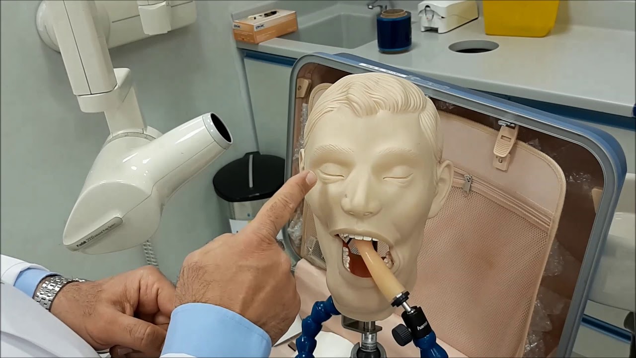 Upper Premolars Angle Bisecting Technique YouTube