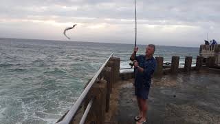 Fishing: Margate Pier