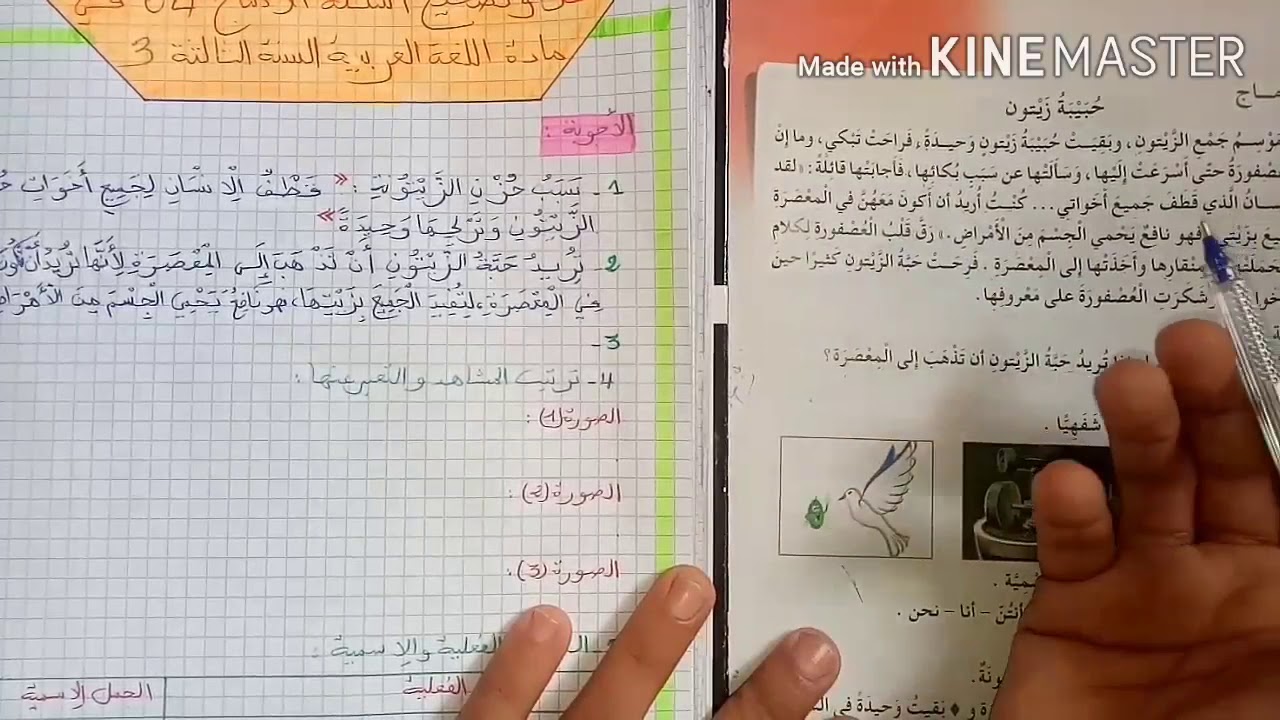 حل وشرح الادماج 4 (حبيبة زيتون) الصفحة 73 من كتاب القراءة
