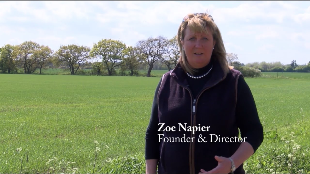 Zoe Napier Group Blog The value of agricultural & amenity land