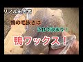 鴨の毛抜き～鴨ワックス（パラフィンワックス）のススメ