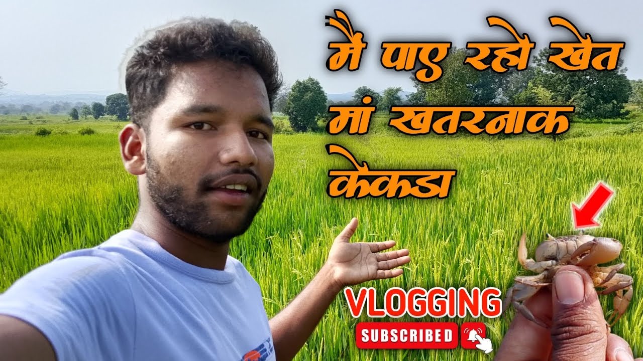 [VLOGGING] मैं पाए रहो खेत मां खतरनाक केकड़ा || official Devendra ...