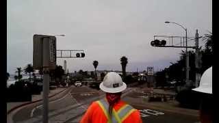 Crossing Study 1206001
