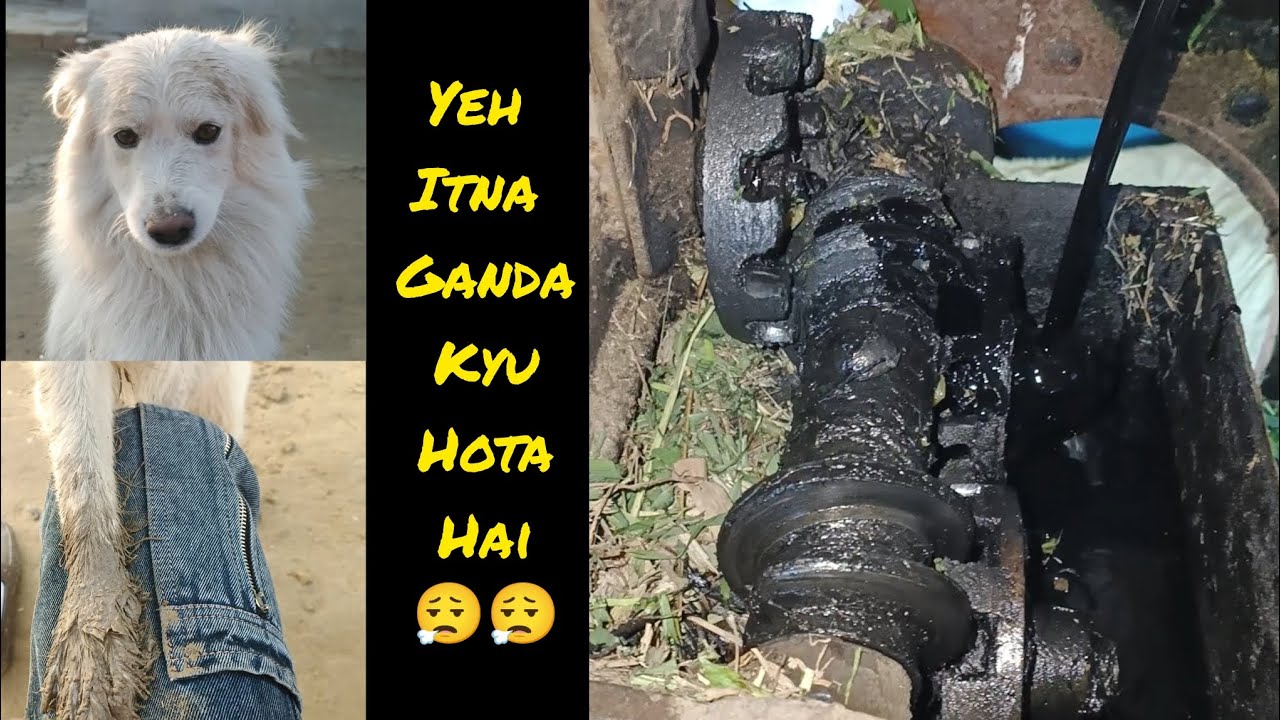 Orry itnaa ganda kyu hota hai 😒 engine oil dal diya😯