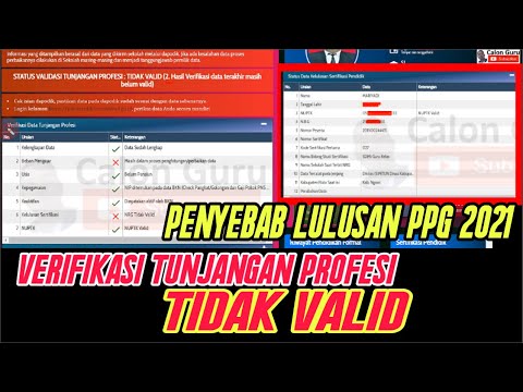 Penyebab Status Validasi Tunjangan Profesi Tidak Valid ketika Login Info GTK 2022 Lulusan PPG 2021