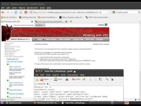 Cross Site Scripting (XSS) - Phishing with XSS