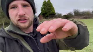 Whistle training a border collie sheepdog