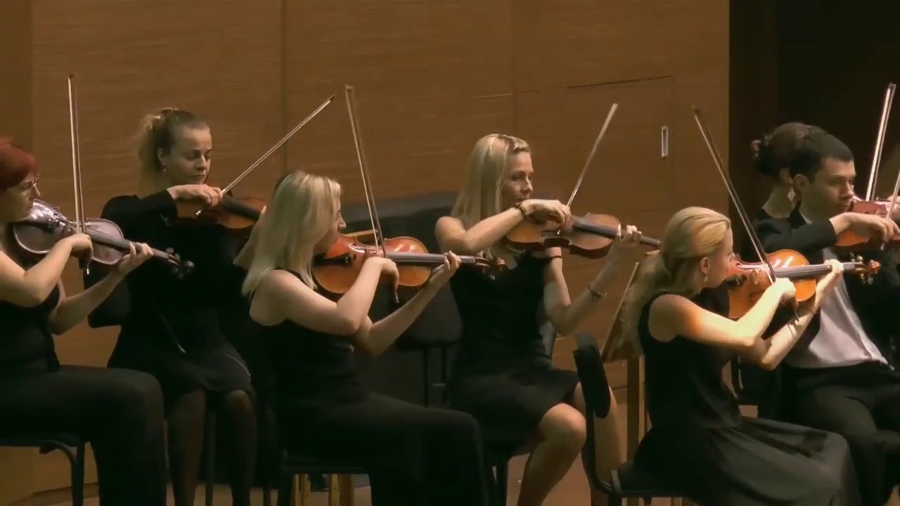 Н. Стецюн - "Украинская фантазия" / Nikolay Stetsiun - "Ukrainian fantasy"