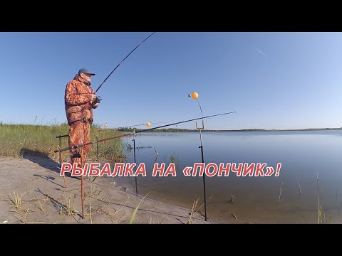 Клев карася на самодельный пенопласт. Рыбалка на донки с сигнализатором "Пончик"
