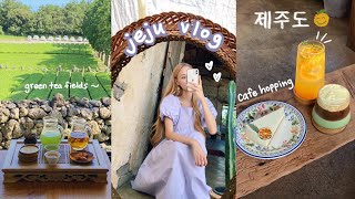 jeju island vlog  cafe hopping, beach bar, korean bbq, aesthetic desserts, international giveaway