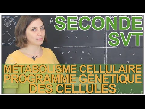 Métabolisme cellulaire : le programme génétique des cellules - SVT Seconde - Les Bons Profs