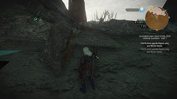 The Witcher 3: Wild Hunt – Rad Steez, Bro! Trophy/Achievement