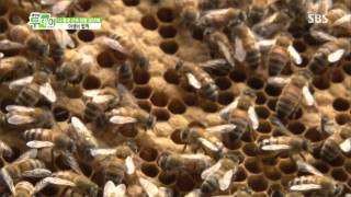 생방송 투데이 20130702 #21(1)
