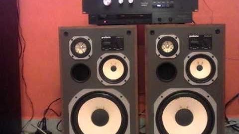 Bafles Gradiente Model 67