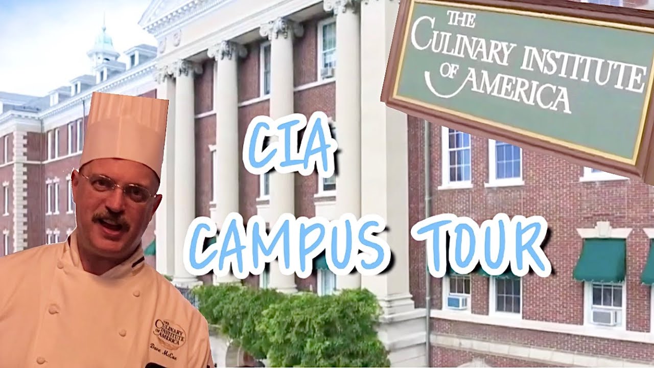 [주디로그] 요리계의 하버드대 CIA🍴 졸업생이 해주는 미국 요리학교 캠퍼스투어 *셰프 등판*ㅣ[Judylog] CIA New
