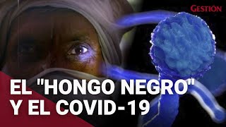 El “Hongo Negro” y COVID-19: lo que debes saber sobre esta peligrosa enfermedad