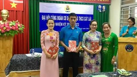 Những hoạt động của trường THCS Cát Lái