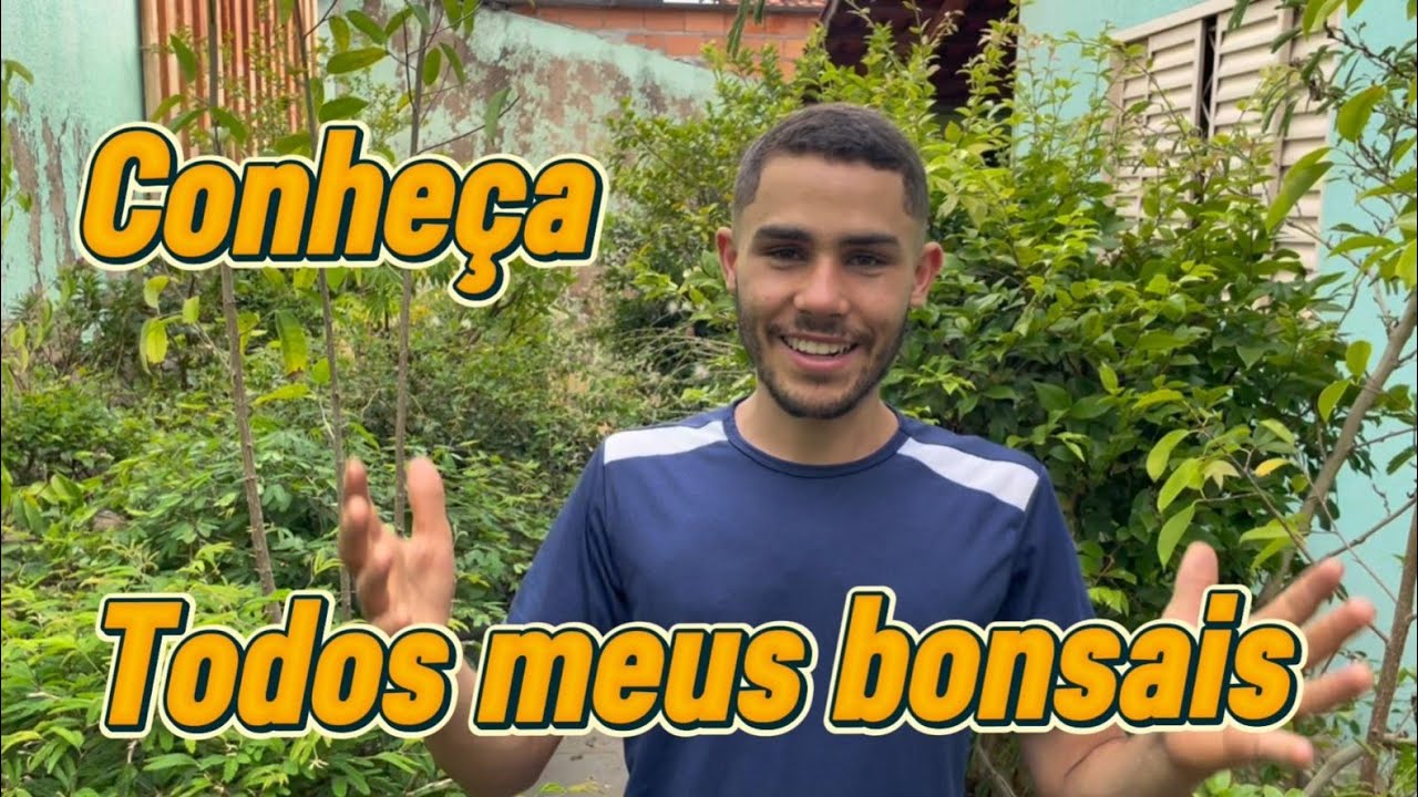 Transformei meu quintal em um REFÚGIO PARTICULAR! (O resultado final)