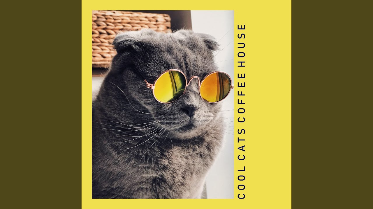 Cat Café Jazz Vibes