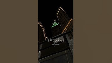 في بيوت أذن الله ان ترفع و يذكر فيها اسمه | عبدالرحمن مسعد | سوره النور