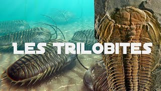 Les Trilobites