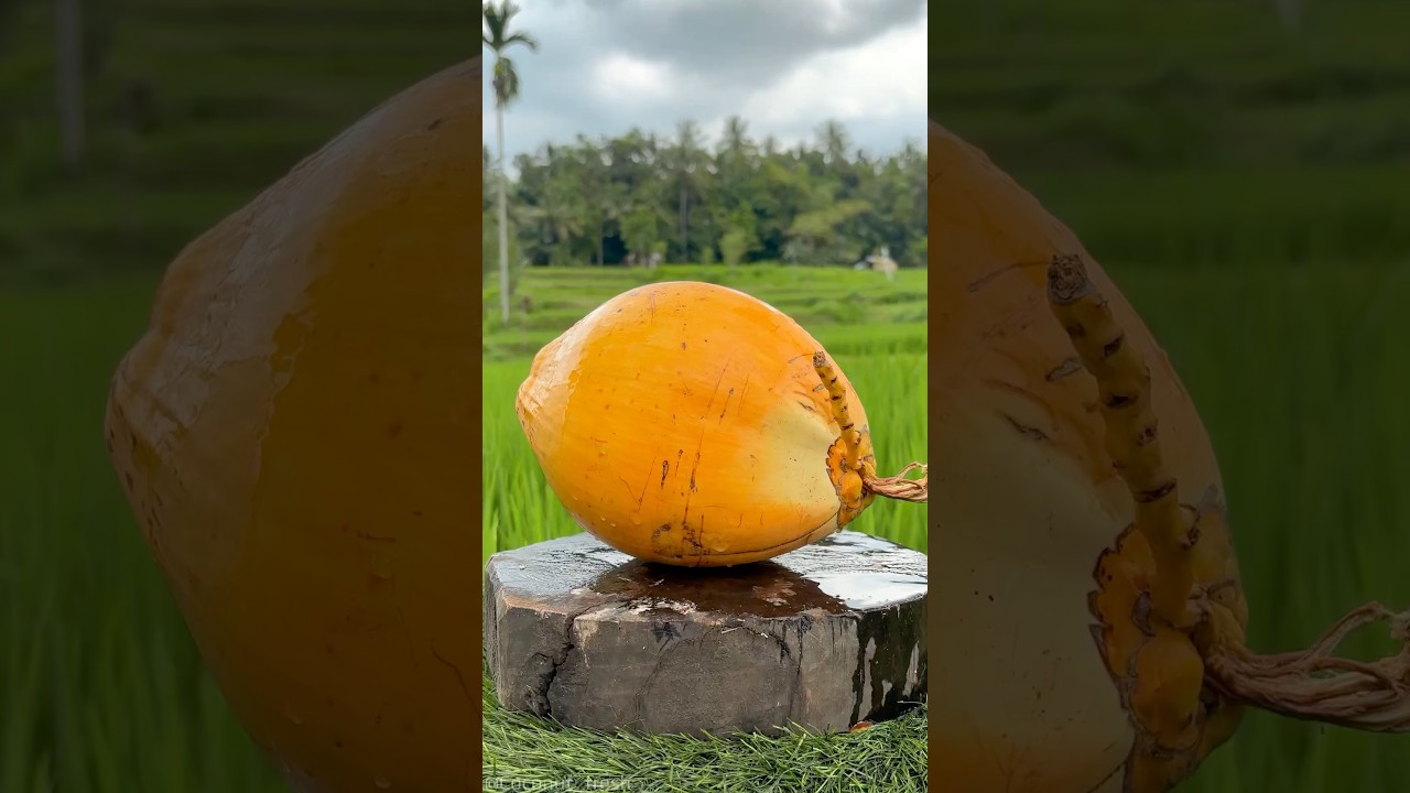 Refreshing Coconut in Cool Air
