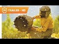 Honeyland Official Trailer (2019) -- Regal [HD]