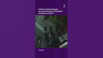 Violent scenes at US campus protests