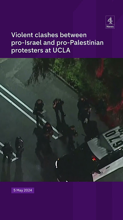 Violent scenes at US campus protests