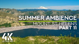 8 HRS Calming Sounds of Crickets & Birds Chirping - 4K Summer Ambience at Mt St. Helens - Ep. #11