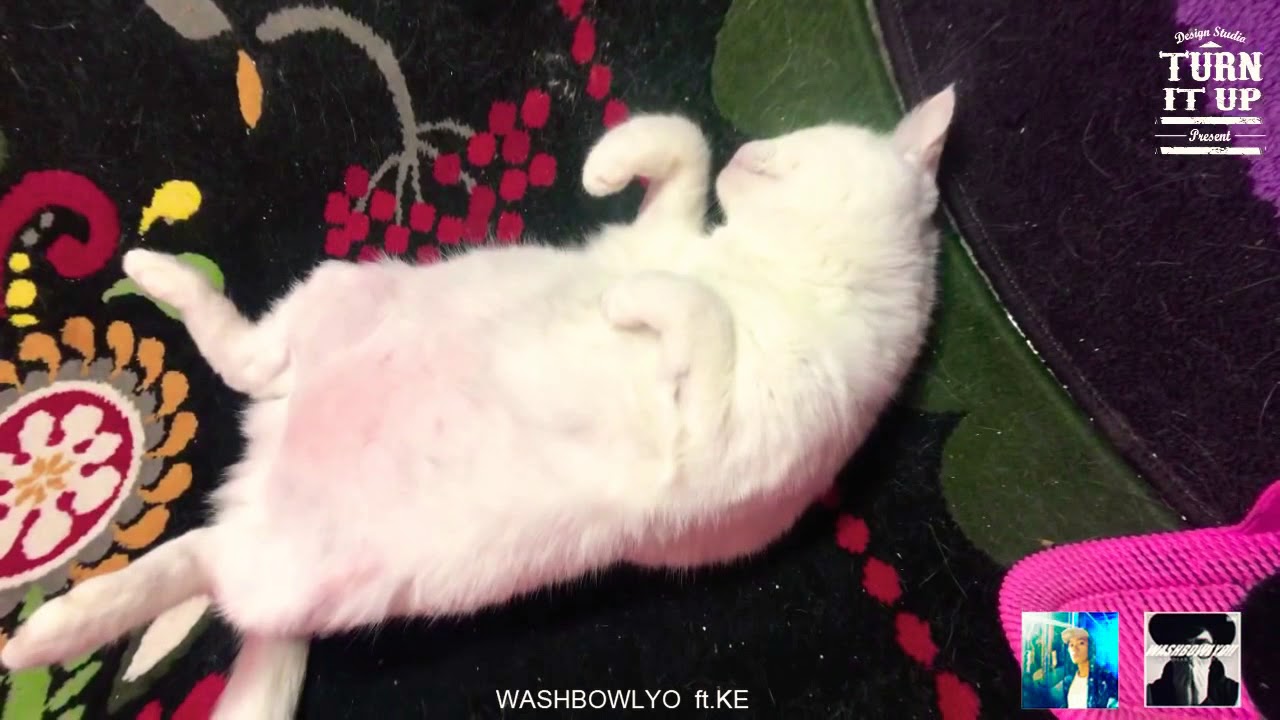 音樂 Washbowlyo 耍廢ft 柯蕭ke 看板hip Hop Ptt影音娛樂區