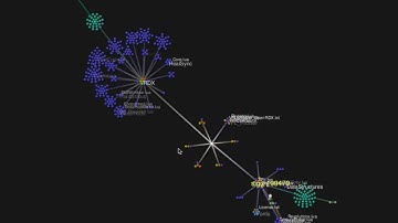 OpenRDX - Subversion Control Visualization (Gource)