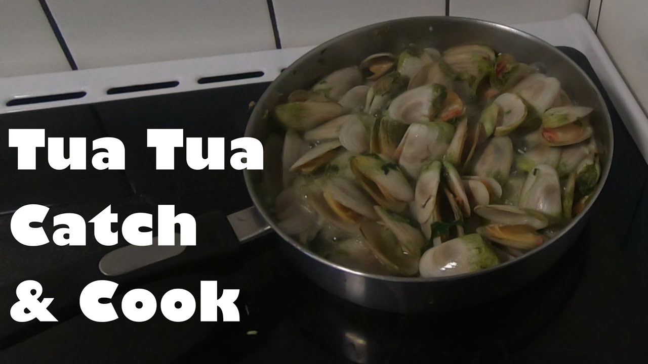 Tua Tua Catch and Cook YouTube