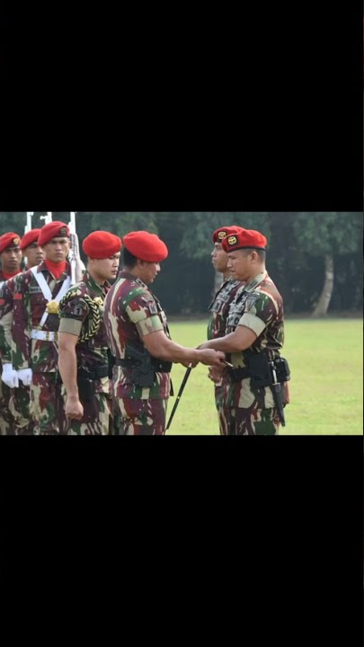 story WA, KOPASSUS, hantu rimba, TNI AD, shorts.