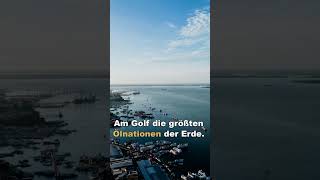 Straße von Hormuz: 40 km, die die Welt erpressen #Shorts