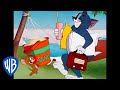 Tom y Jerry en Español | ¿Dónde quedaron los días aburridos? | WB Kids