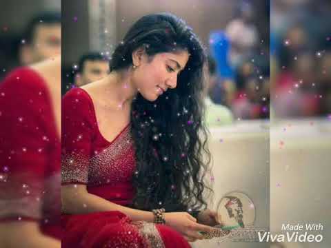 Hot Ringtone 2018