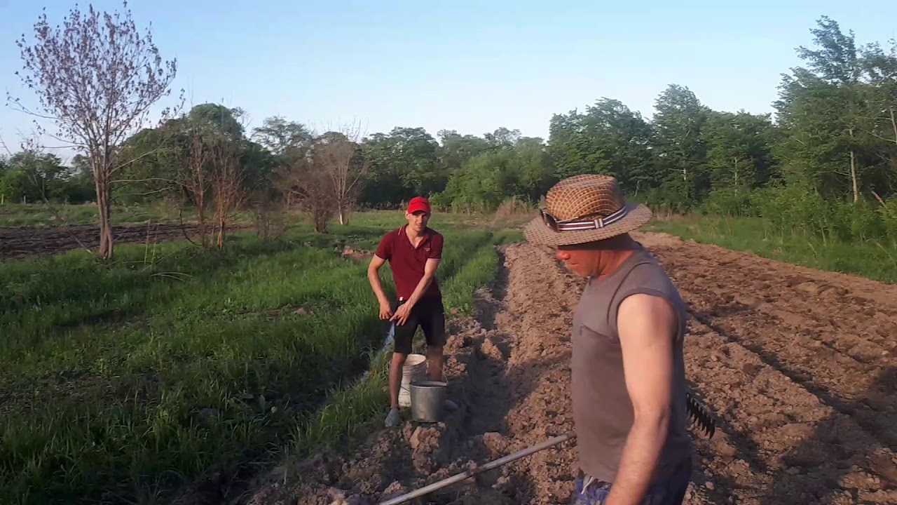 Колхоз покровские нивы