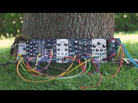 Linfa - Ambient Music under the Tree ?