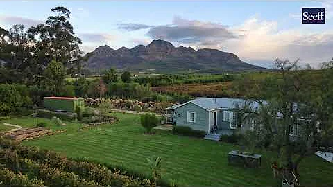 R16,250,000 | 30,000m² Small Holding For Sale in Stellenbosch Farms