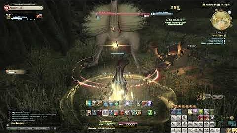 FFXIV - Forest Friend